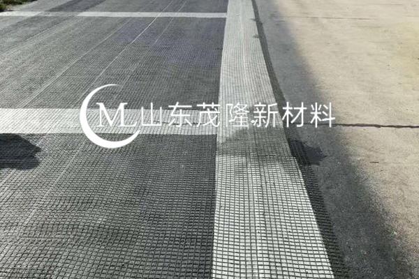 《怡心湖 C 區(qū)片區(qū)綜合開發(fā)項(xiàng)目二期工程》土工格柵施工